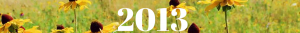 2013