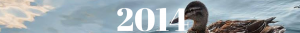 2014 new